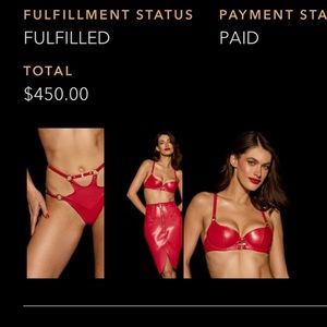 Honey birdette red vegan leather bra and thong and garter set